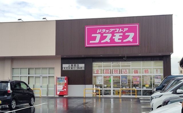 近くのドラッグストアまで1,300m（徒歩17分）