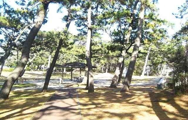 近くの公園まで800m（徒歩10分）