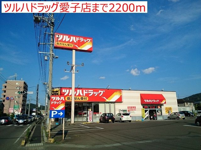 近くのツルハ仙台愛子店まで2,200m（徒歩28分）