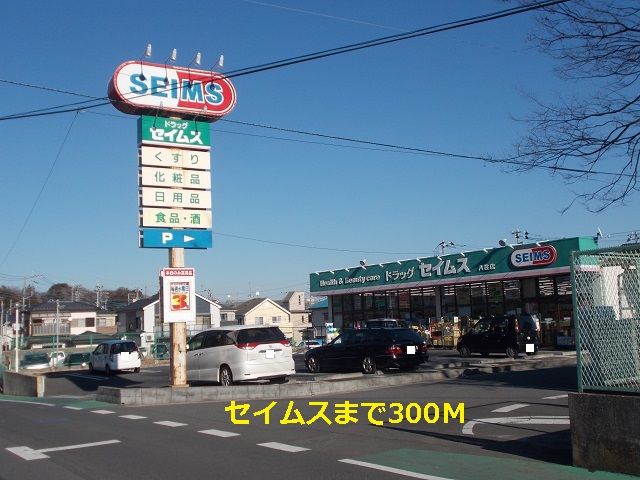 近くのセイムスまで300m（徒歩4分）