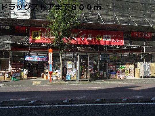 近くのドラッグストアまで800m(徒歩10分)