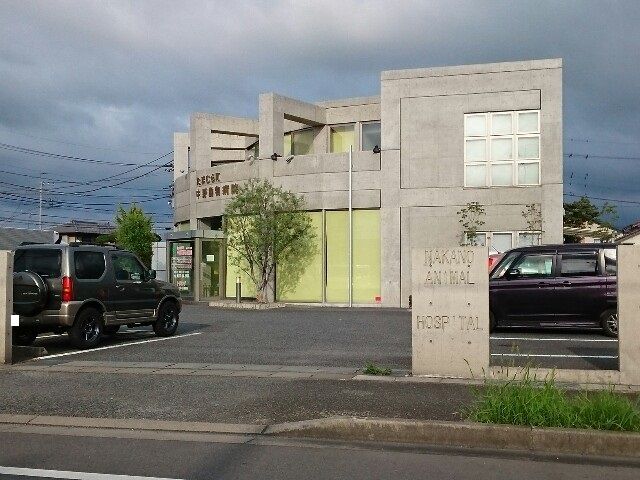 近くのたまむら町中野動物病院まで190m（徒歩3分）