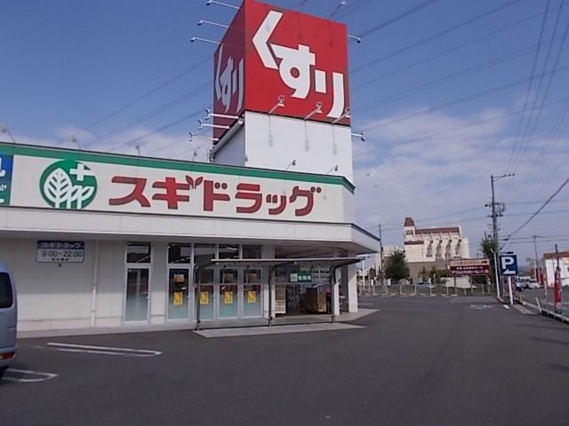 近くのスギドラッグ岐阜六条店まで700m(徒歩9分)