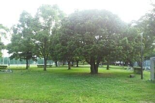 近くの大岡公園まで350m(徒歩5分)
