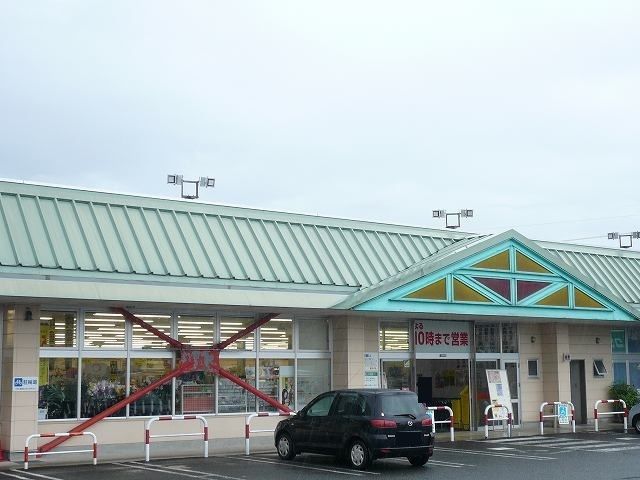 近くのタイヨー都城郡元店まで1,100m（徒歩14分）
