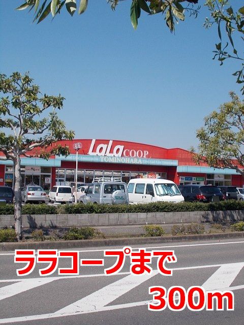 近くのララコープまで300m（徒歩4分）