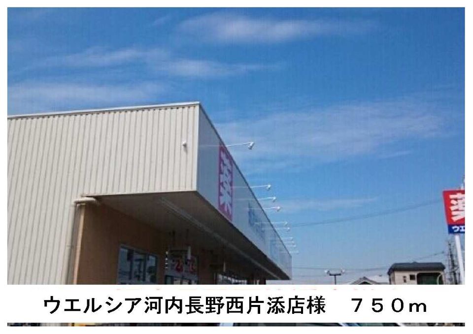 近くのウエルシア河内長野西片添店まで750m(徒歩10分)