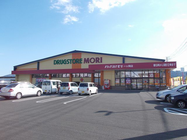 近くのドラッグストアモリ一ヶ岡店まで1,000m（徒歩13分）