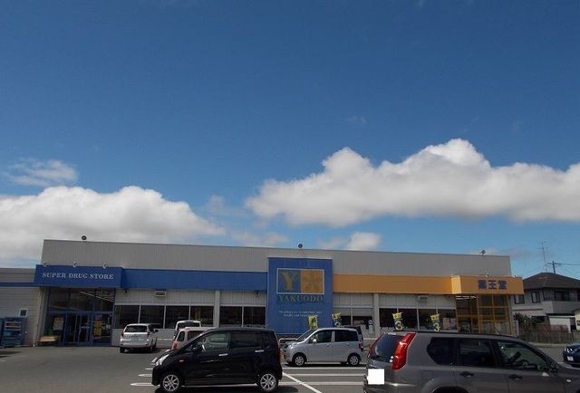 近くの薬王堂 石巻末広店まで700m（徒歩9分）