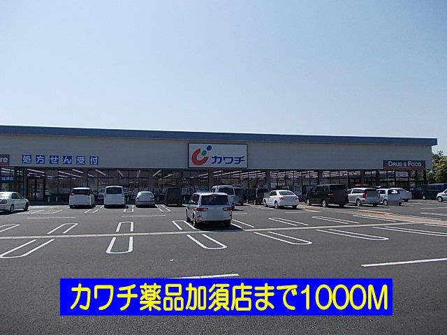 近くのドラッグストアまで1,000m（徒歩13分）