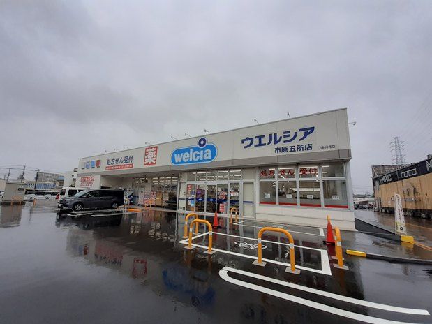 近くのウエルシア市原五所店まで800m(徒歩10分)