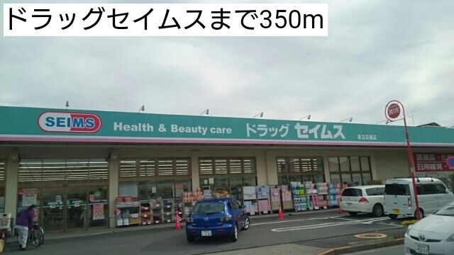 近くのドラッグセイムスまで350m（徒歩5分）