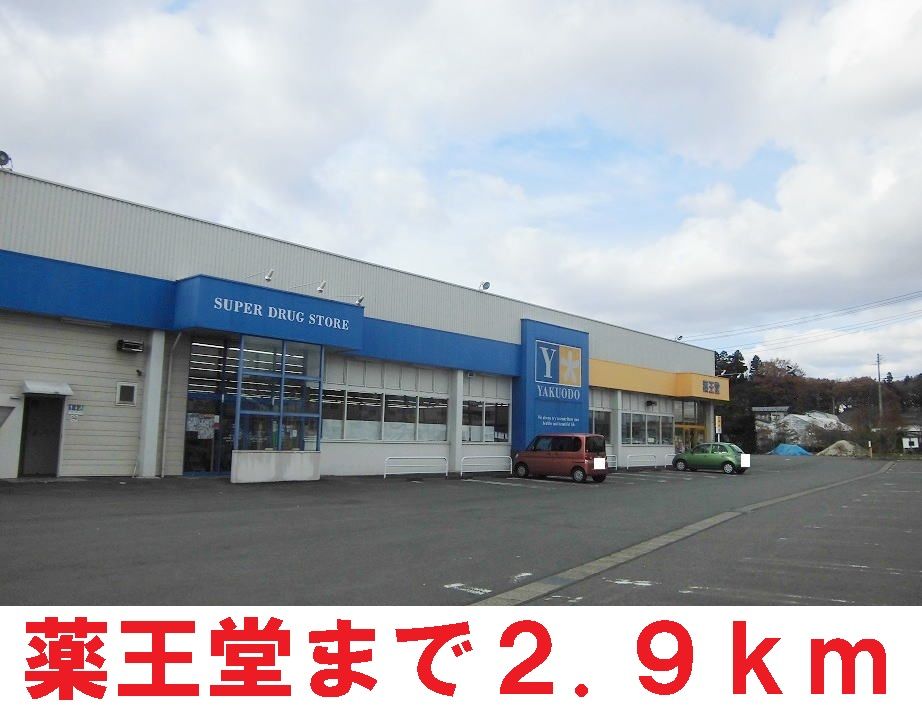 近くの薬王堂まで2,900m(徒歩37分)