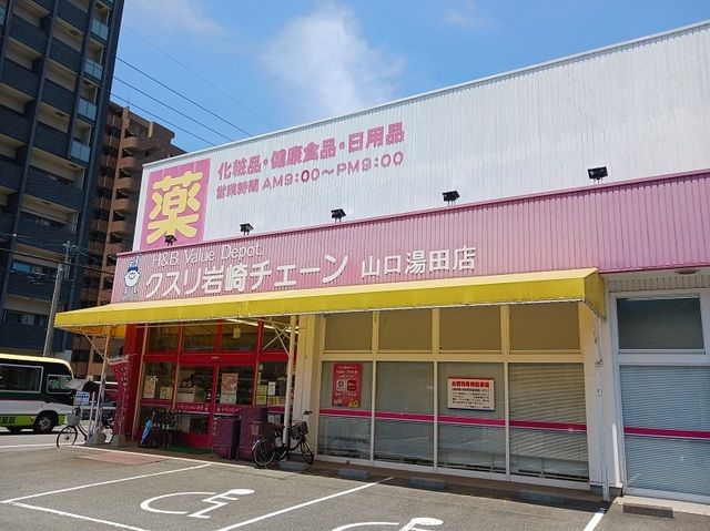 近くのクスリ岩崎チェーンまで260m(徒歩4分)