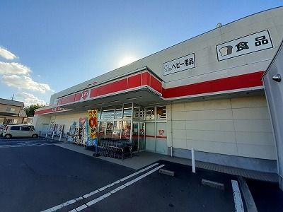 近くのドラッグストアまで1,100m（徒歩14分）