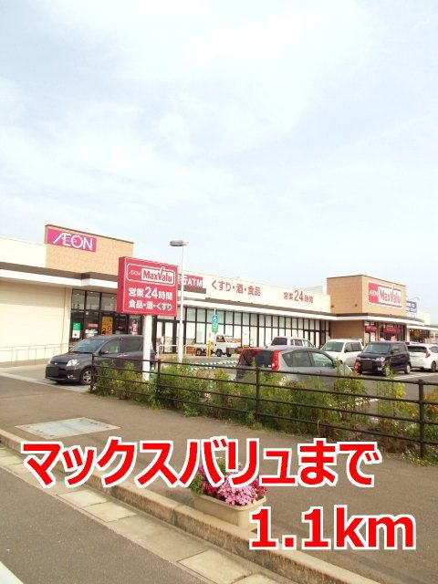 近くのマックスバリュまで1,100m(徒歩14分)