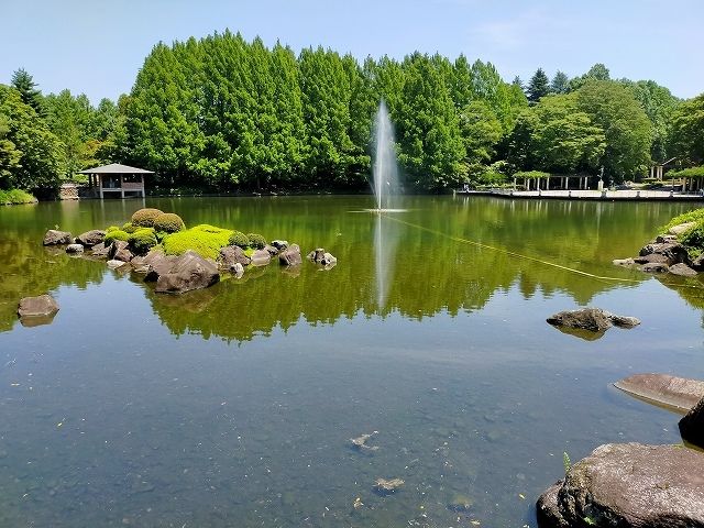 近くの中央公園まで350m（徒歩5分）