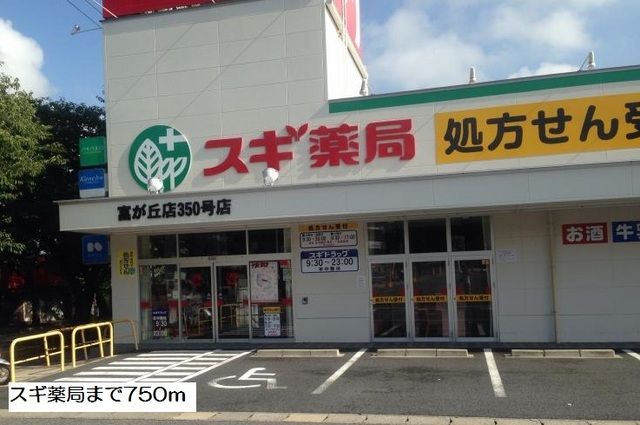 近くのスギ薬局まで750m(徒歩10分)