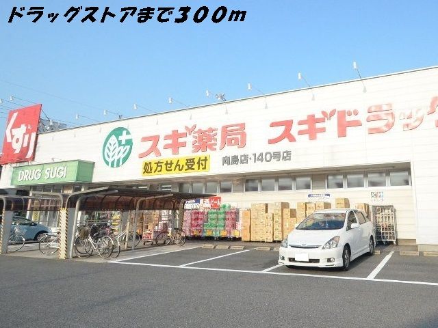近くのドラッグストアまで300m（徒歩4分）