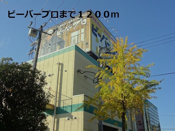 近くのビーバープロまで1,200m(徒歩15分)