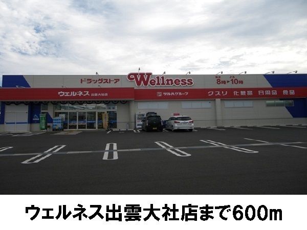 近くのウェルネス出雲大社店まで600m（徒歩8分）