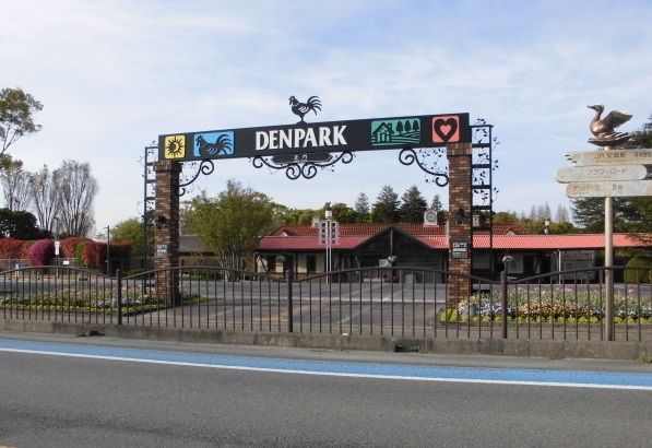 近くのデンパークまで3,400m（徒歩43分）