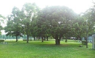 近くの公園まで400m（徒歩5分）
