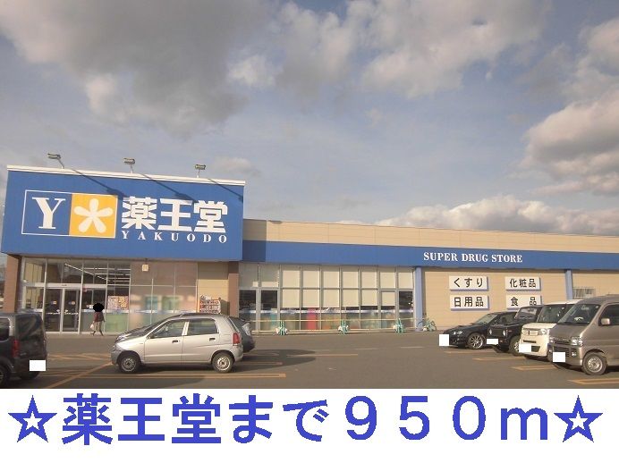 近くのドラッグストアまで950m（徒歩12分）