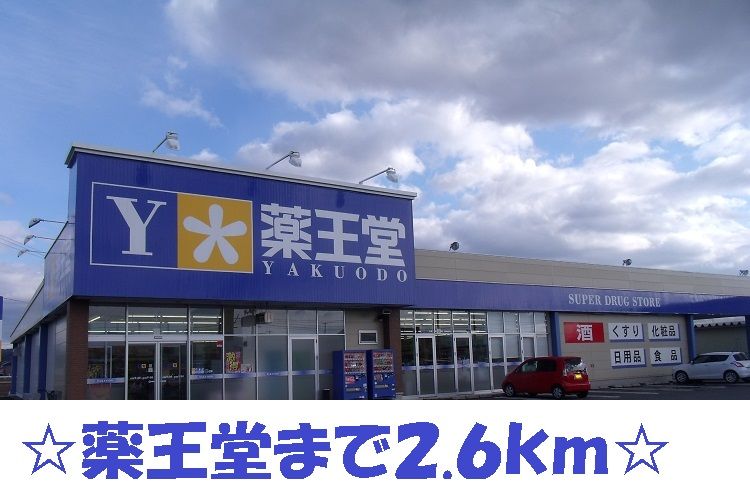 近くの薬王堂まで2,600m（徒歩33分）