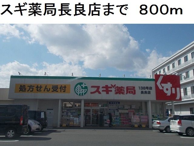 近くのスギ薬局長良店まで800m（徒歩10分）