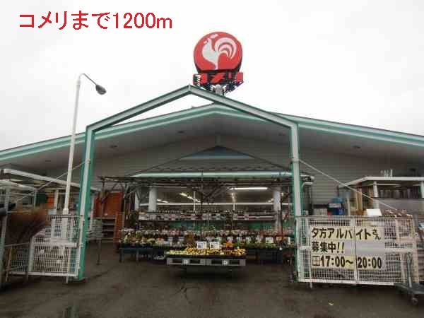 近くのコメリまで1,200m(徒歩15分)