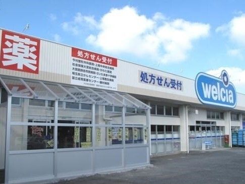 近くのウエルシア上尾栄薬局まで970m（徒歩13分）