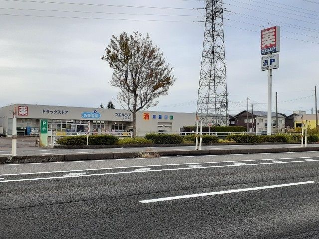近くのウエルシア新潟中条店まで300m(徒歩4分)