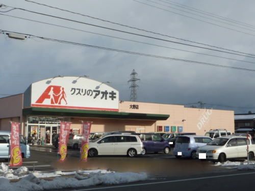 近くのクスリのアオキ 大野店まで1,000m（徒歩13分）