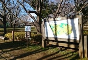 近くの青葉の森公園まで710m（徒歩9分）