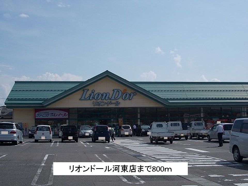 近くのリオンドール河東店まで800m（徒歩10分）