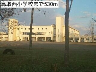 近くの鳥取西小学校まで530m(徒歩7分)
