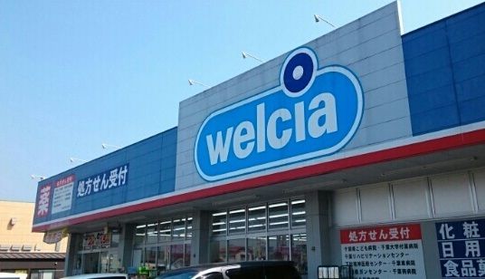 近くのウエルシアまで1,630m(徒歩21分)