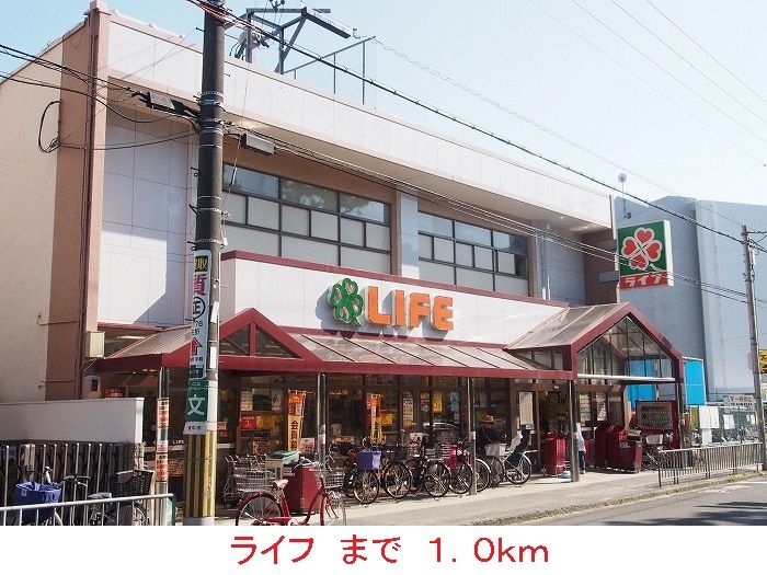 近くのライフまで1,000m（徒歩13分）