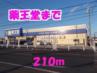 近くの薬王堂まで210m（徒歩3分）
