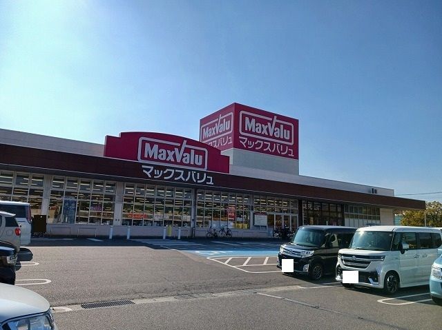 近くのマックスバリュ浅江店まで220m（徒歩3分）