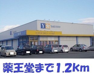 近くの薬王堂まで1,200m(徒歩15分)