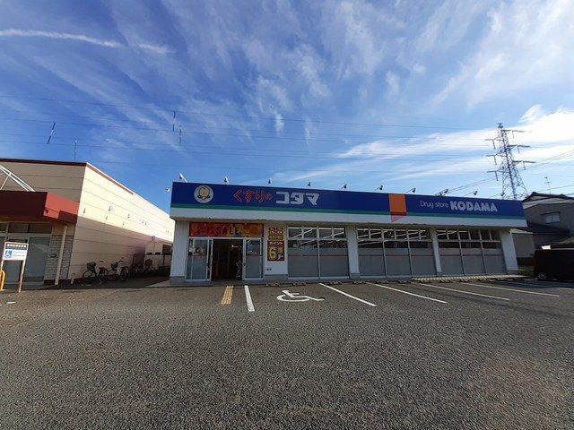 近くのココカラファイン南出来島店まで750m（徒歩10分）