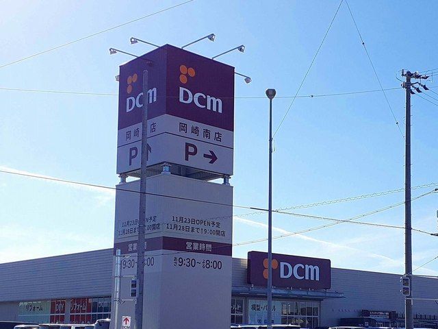 近くのDCM 岡崎南店まで750m(徒歩10分)