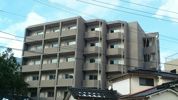 ディアコート武蔵の間取り画像