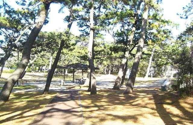 近くの千本浜公園まで1,100m（徒歩14分）