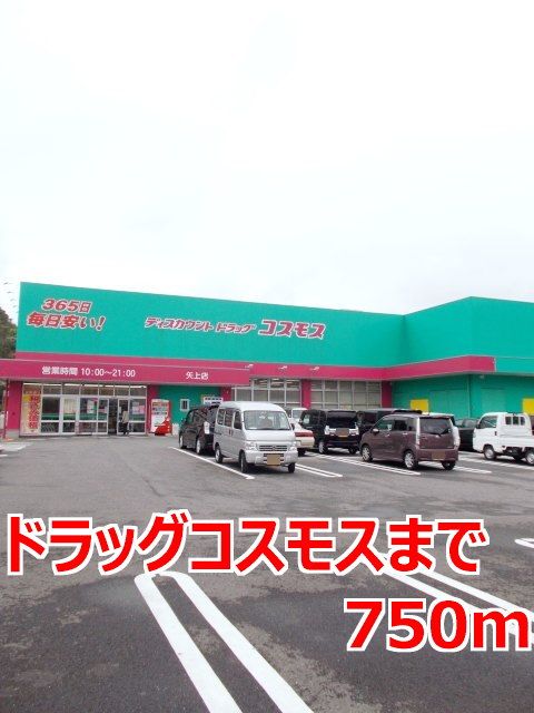 近くのドラッグコスモスまで750m（徒歩10分）