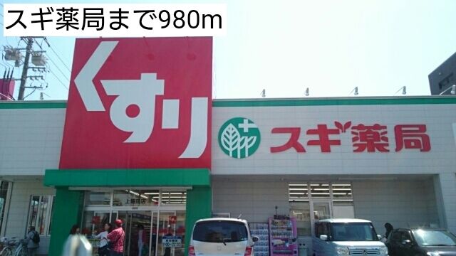 近くのスギ薬局まで980m(徒歩13分)