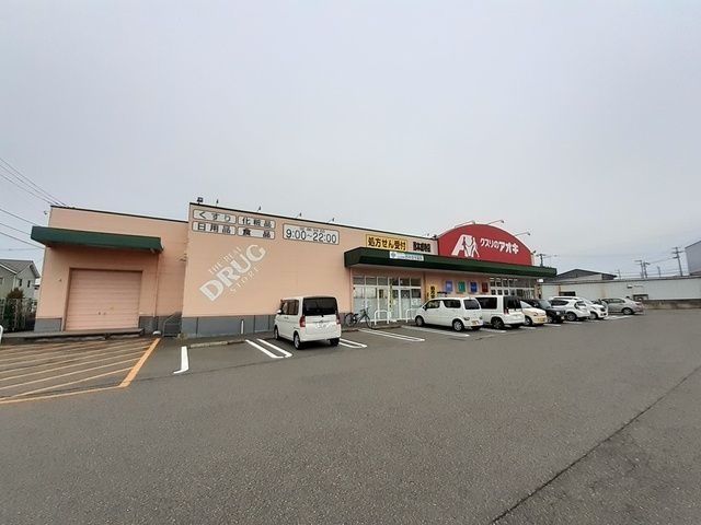 近くのドラッグストアまで750m（徒歩10分）