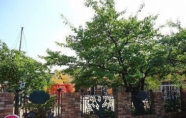 近くの幼稚園・保育園まで1,500m（徒歩19分）